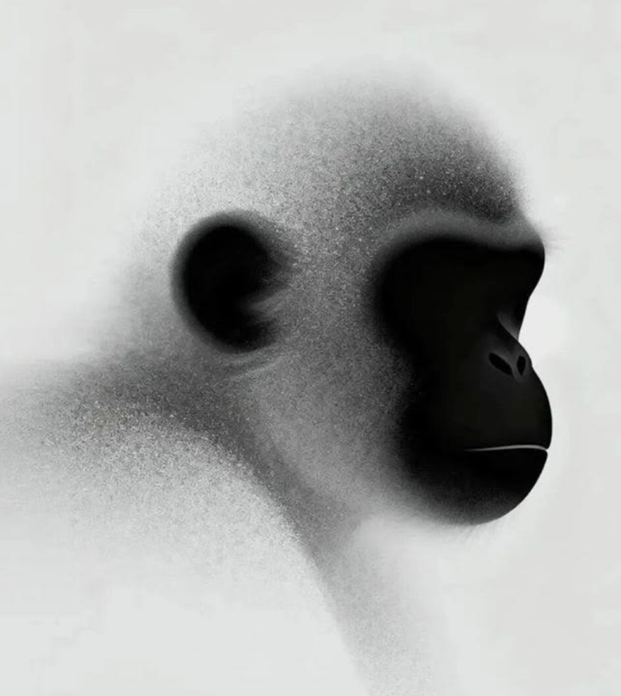 Gorilla portrait dissolving into dark grain on a pale background, from the supplied reference.